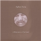 Aphex Twin - 2 Mixes On A 12