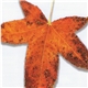 Various - Leaves From The Tree - A Tribute To The Music Of Peter Gabriel