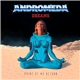 Andromeda Dreams - Point Of No Return